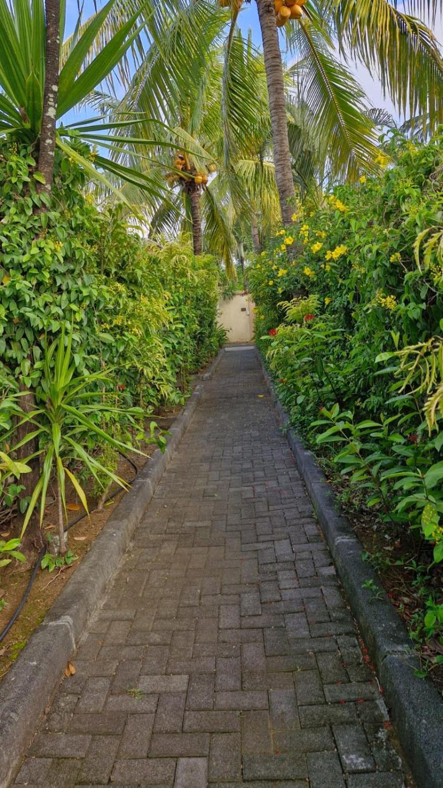 Oasis 1 Villa Tropicale Grand Baie Exterior foto